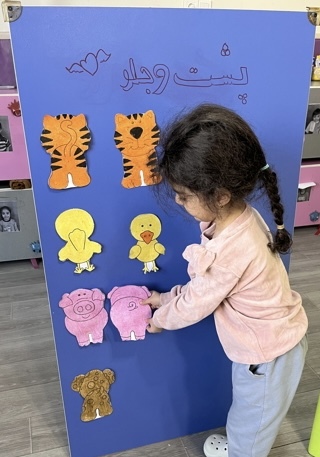 پیش درآمد کتاب پشت و جلو