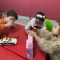 خاله بهار و بازی گروهی کودکان در دنیای اسباب بازی ها