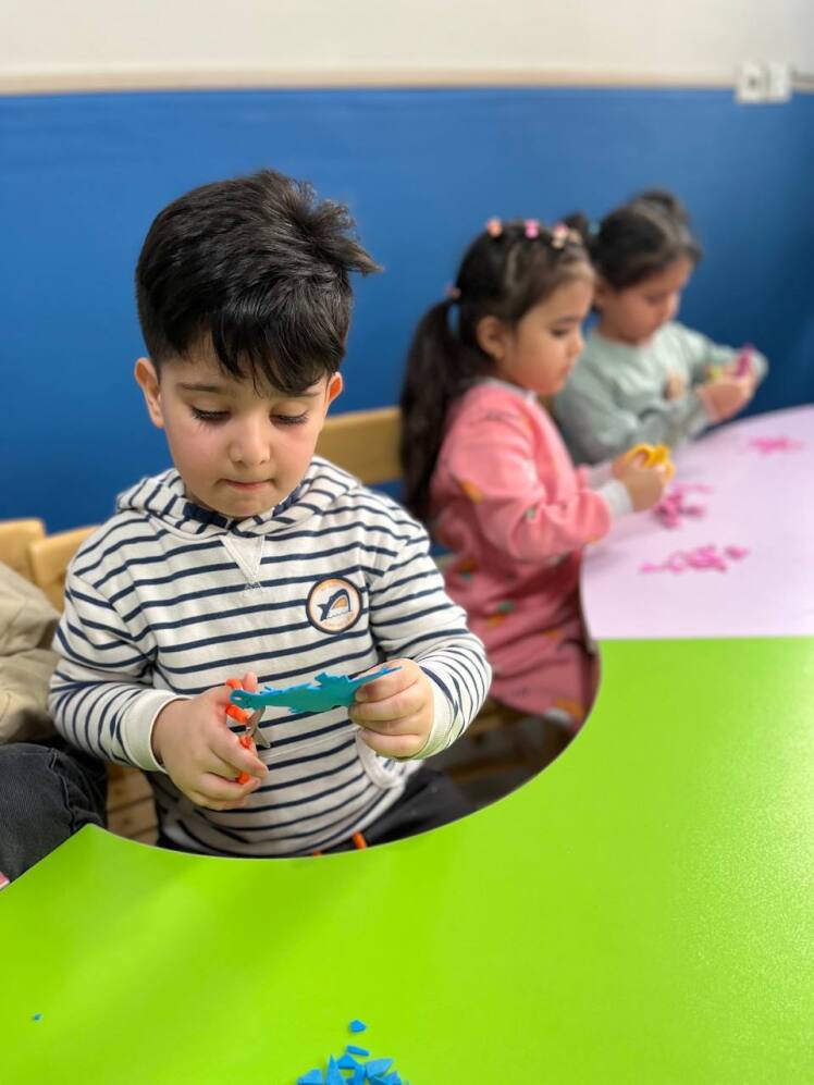 کارباقیچی دست ورزی