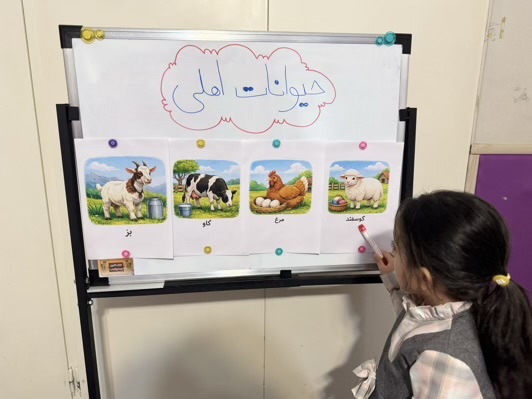 آموزش علوم کودکان پیش دبستانی | آشنایی با حیوانات اهلی