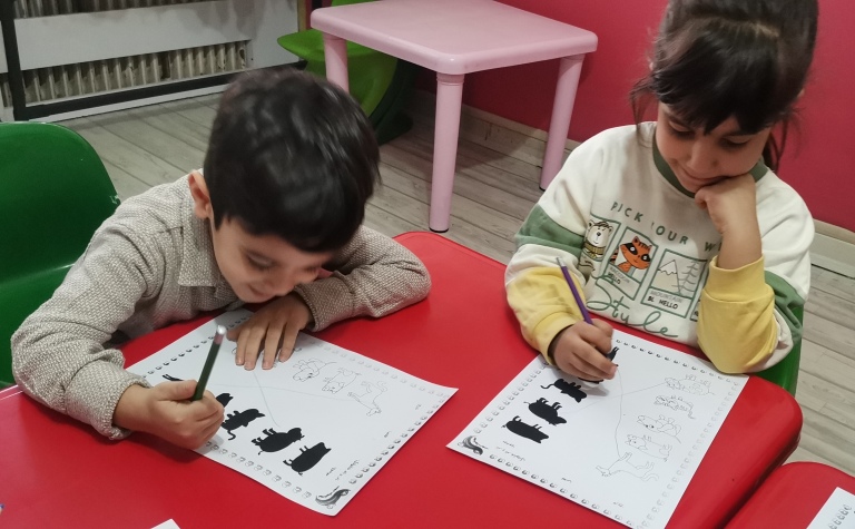 کاربرگ سایه ها