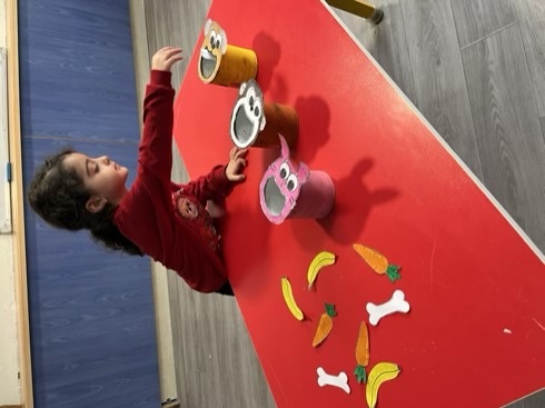 پیش در آمد کتاب