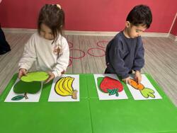 پیدا کردن سایه میوه ها با هدف تقویت دقت دیداری