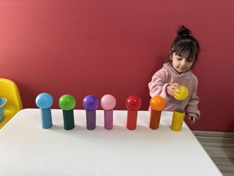 جای گذاری شناخت رنگ ها