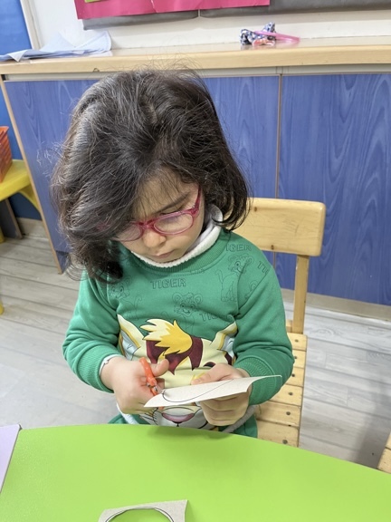 کارباقیچی دست ورزی