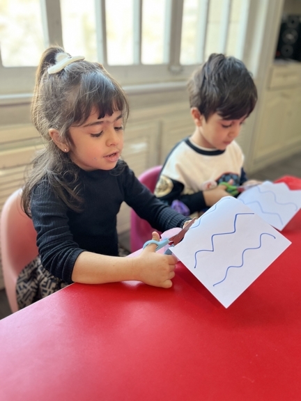 کارباقیچی دست ورزی