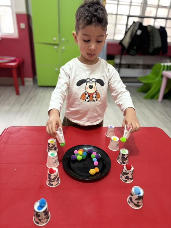 جای گذاری هماهنگی دو نیمکره